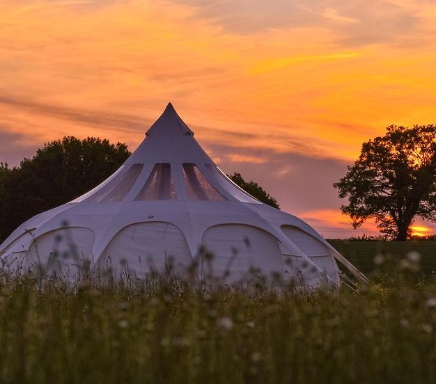 Forest Glamping Retreat 