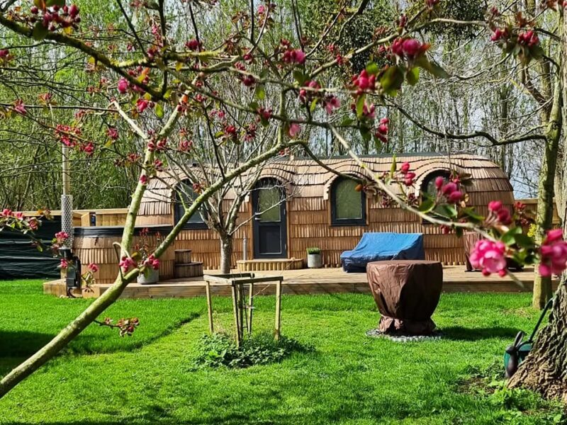 Cabins at The Coach House