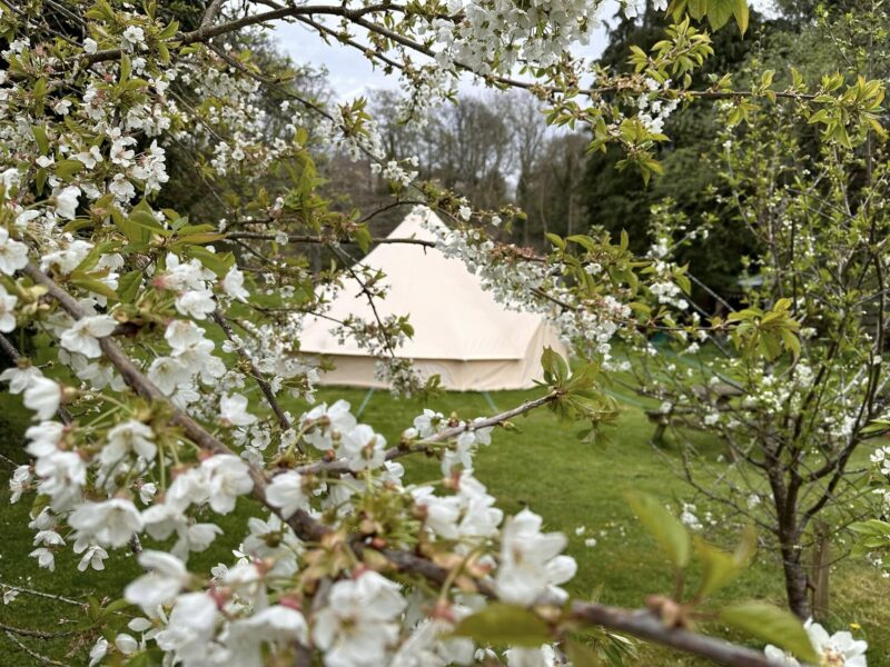 Dee Valley Bell Tent