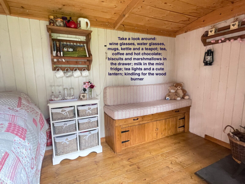 Shepherd’s Hut at Fernwood Glamping