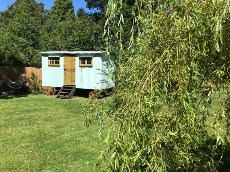 Shepherd’s Hut at Fernwood Glamping