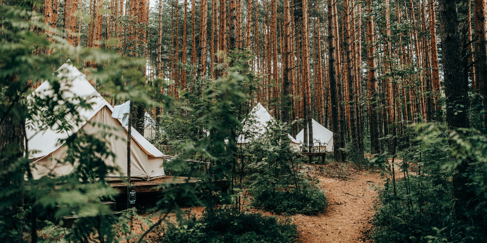 Welcome To Lets Go Glamping Blog Cover