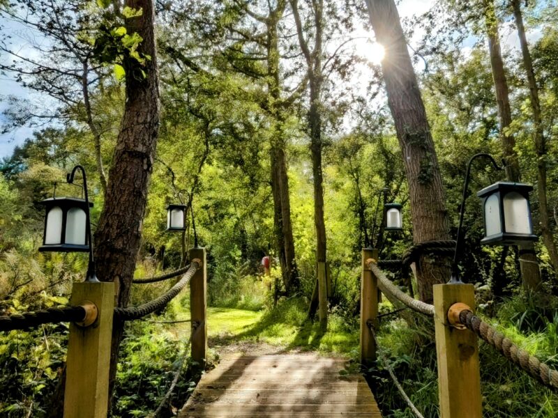 Emlyn's Coppice Woodland Glamping