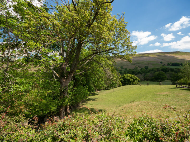 Haddy's Hut at Oaker Farm