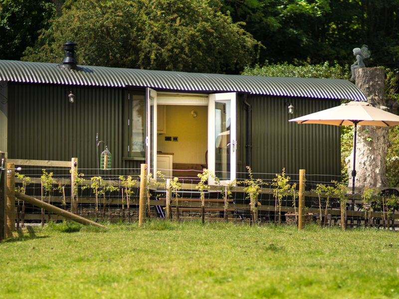 Haddy's Hut at Oaker Farm